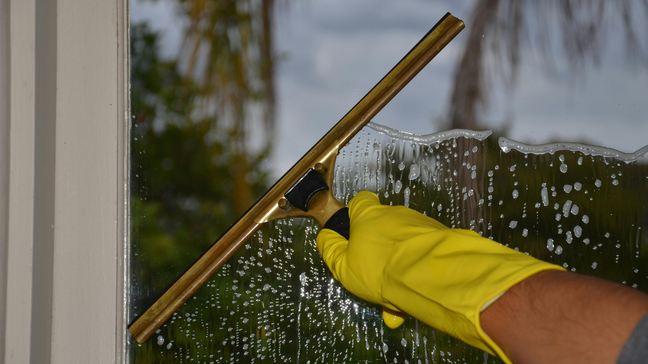 Professional window cleaning service